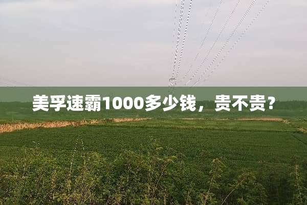 美孚速霸1000多少钱，贵不贵？
