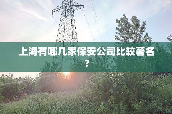 上海有哪几家保安公司比较著名？