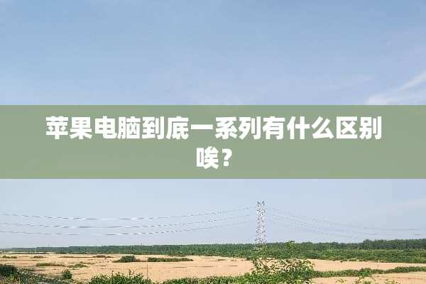 苹果电脑到底一系列有什么区别唉？
