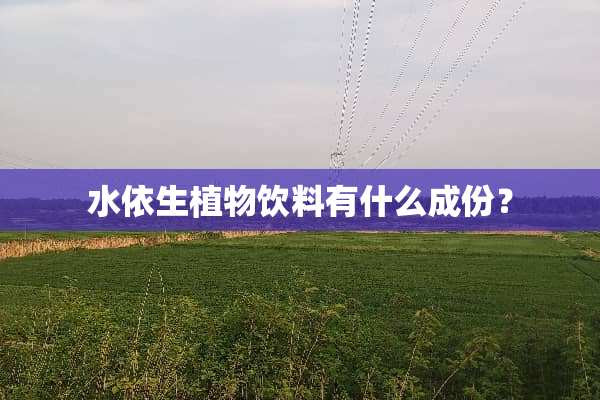 水依生植物饮料有什么成份？