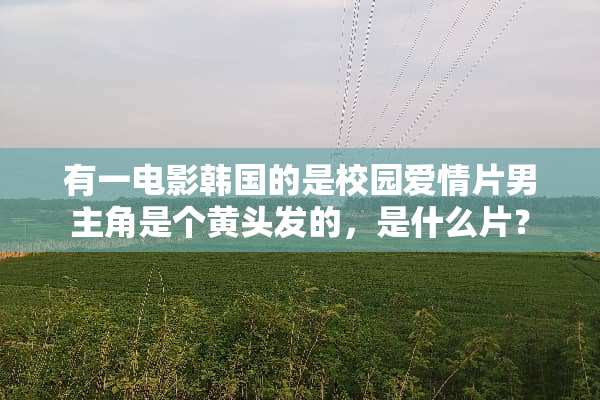 有一电影韩国的是校园爱情片男主角是个黄头发的，是什么片？