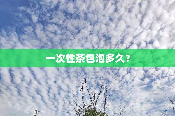 一次性茶包泡多久？