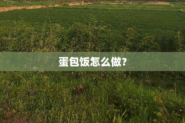 蛋包饭怎么做？