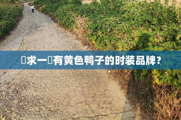 尋求一個有**鸭子的时装品牌？