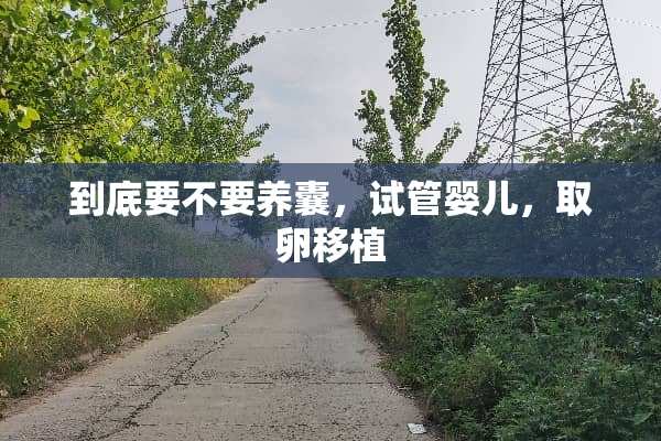 到底要不要养囊，试管婴儿，取卵移植