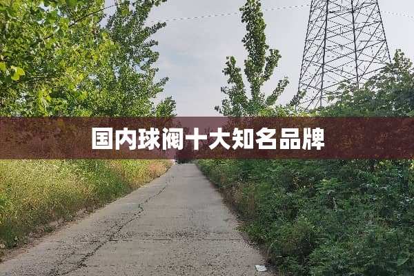 国内球阀十大知名品牌