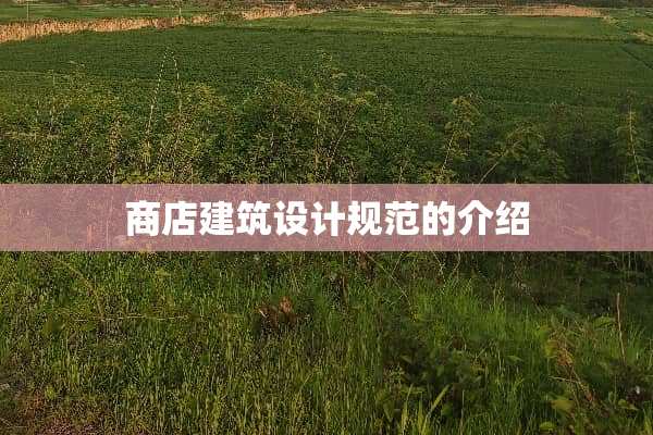 商店建筑设计规范的介绍