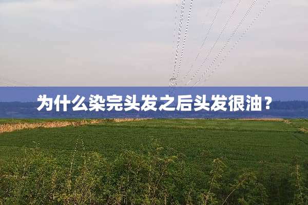 为什么染完头发之后头发很油？