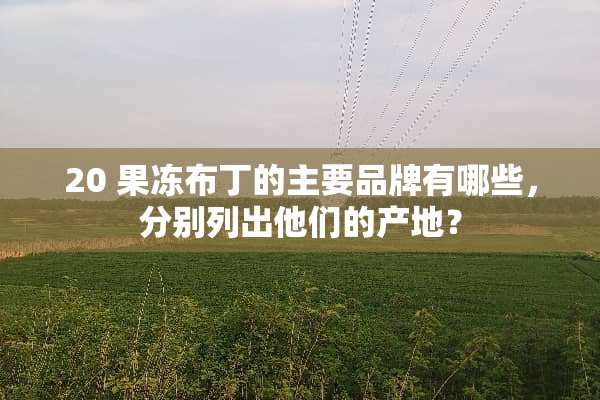 20 果冻布丁的主要品牌有哪些，分别列出他们的产地？