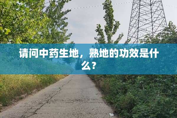 请问中药生地，熟地的功效是什么？