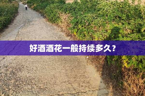 好酒酒花一般持续多久？