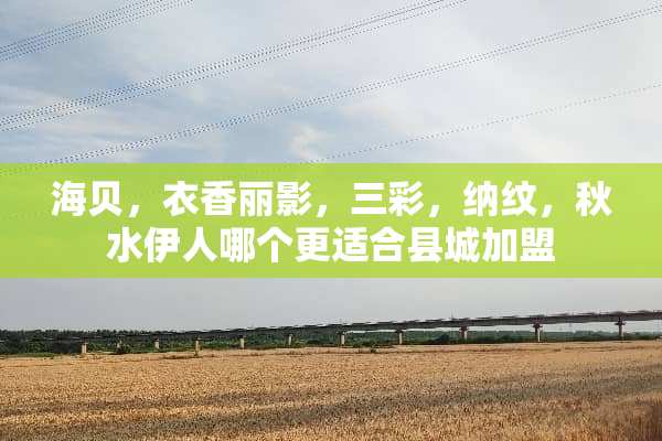 海贝，衣香丽影，三彩，纳纹，秋水伊人哪个更适合县城加盟
