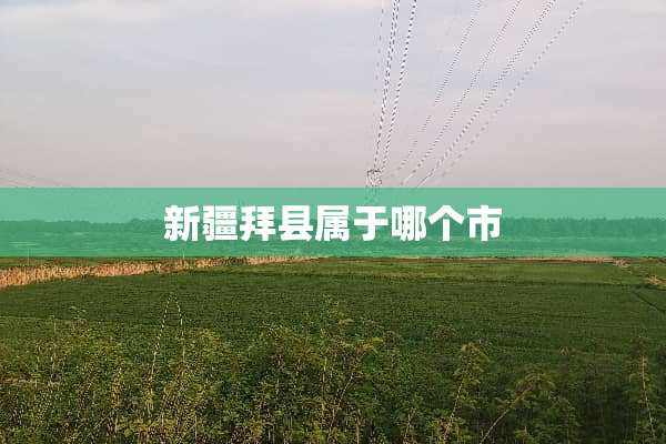 新疆拜县属于哪个市