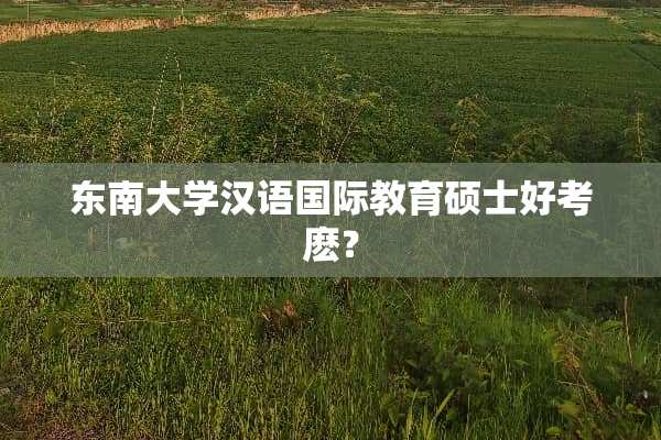 东南大学汉语国际教育硕士好考麽？