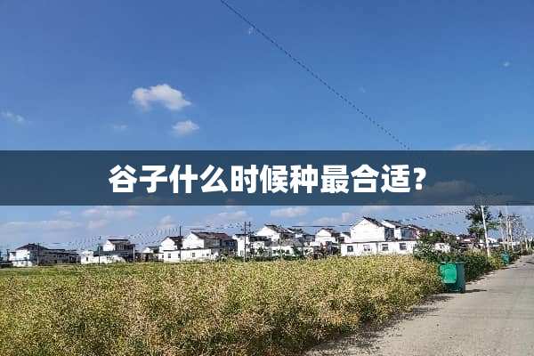谷子什么时候种最合适？