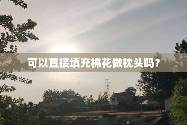 可以直接填充棉花做枕头吗？