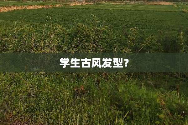 学生古风发型？