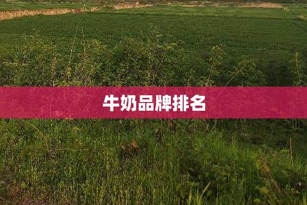 牛奶品牌排名