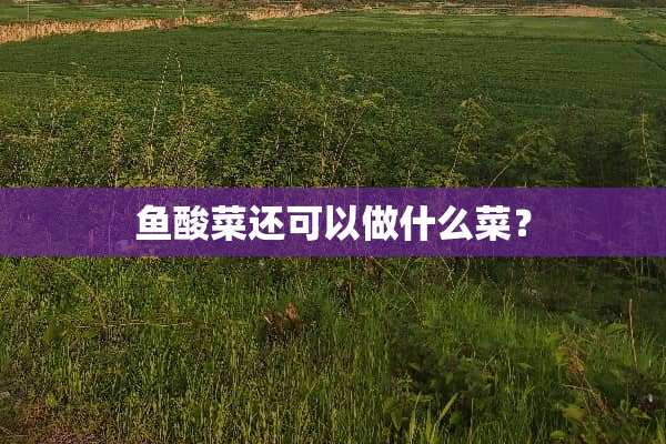 鱼酸菜还可以做什么菜？