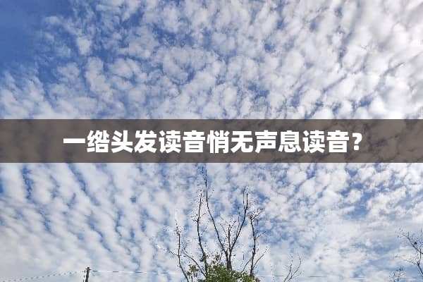 一绺头发读音悄无声息读音？
