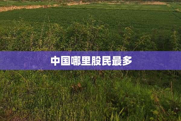 中国哪里股民最多