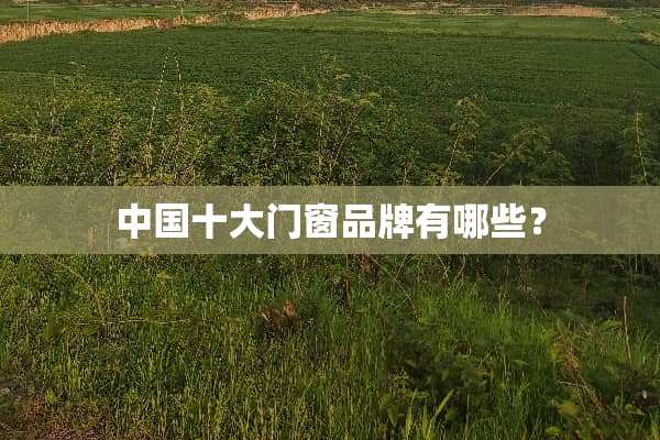 中国十大门窗品牌有哪些？