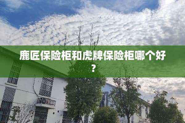 鹿匠保险柜和虎牌保险柜哪个好？