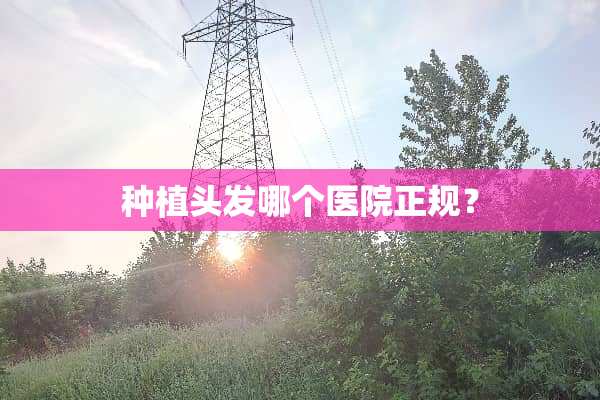 种植头发哪个医院正规？