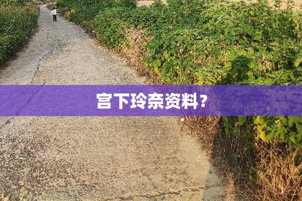 宫下玲奈资料？