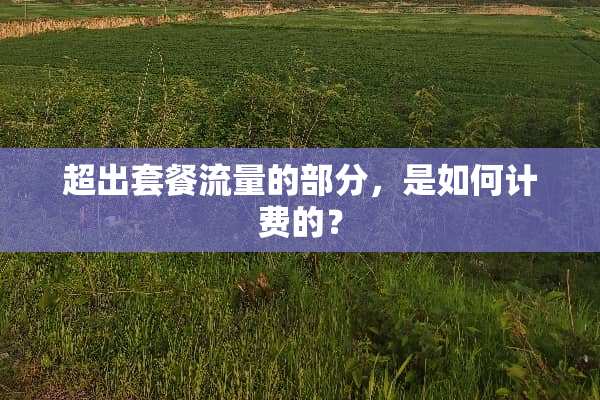 超出套餐流量的部分，是如何计费的？