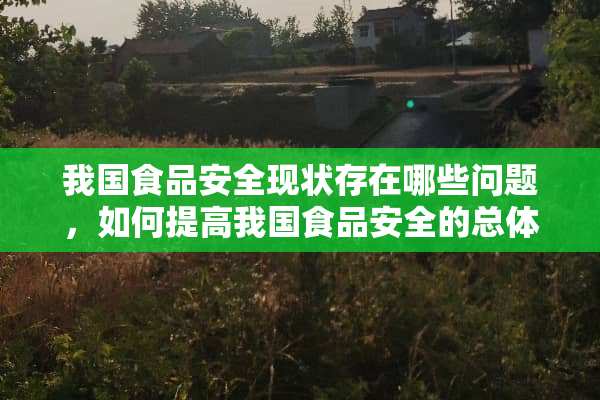 我国食品安全现状存在哪些问题，如何提高我国食品安全的总体水平