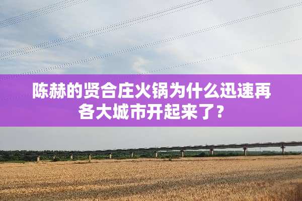 陈赫的贤合庄火锅为什么迅速再各大城市开起来了？