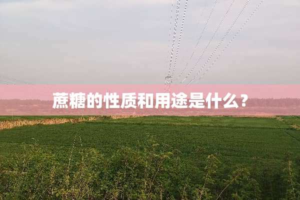 蔗糖的性质和用途是什么？