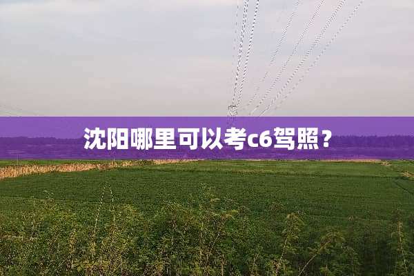 沈阳哪里可以考c6驾照？