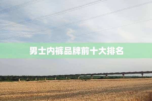 男士**品牌前十大排名