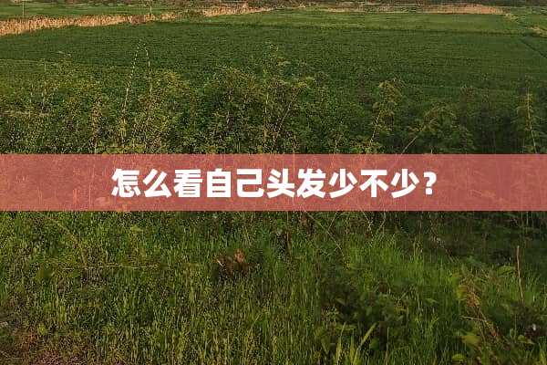 怎么看自己头发少不少？