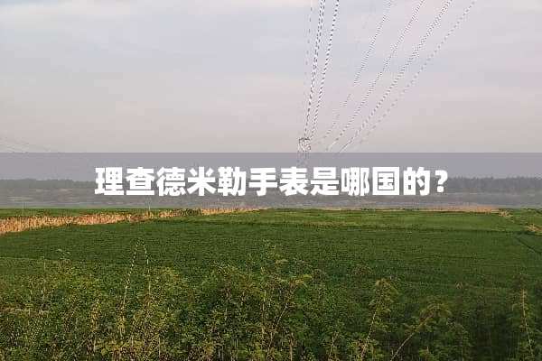 理查德米勒手表是哪国的？