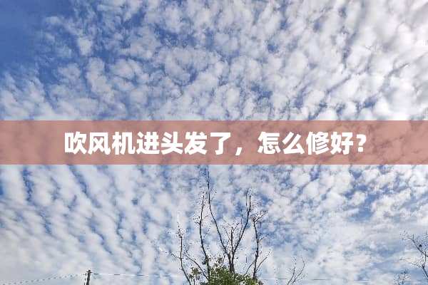 吹风机进头发了，怎么修好？