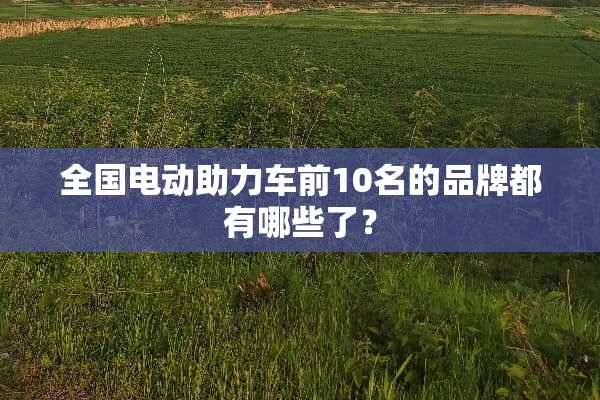 全国电动助力车前10名的品牌都有哪些了？