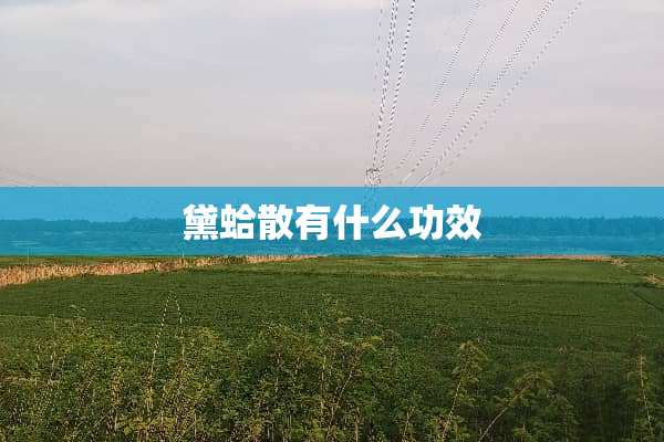 黛蛤散有什么功效