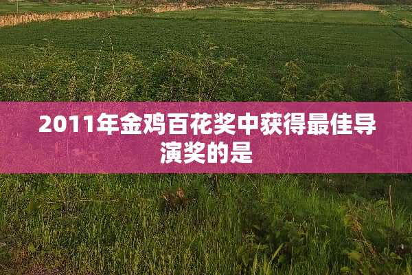 2011年金鸡百花奖中获得最佳导演奖的是