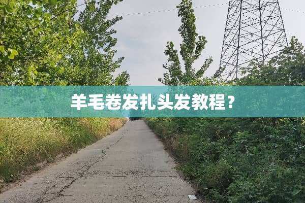 羊毛卷发扎头发教程？