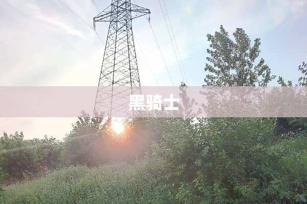 黑骑士