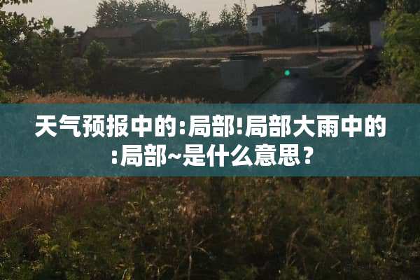 天气预报中的:局部!局部大雨中的:局部~是什么意思？