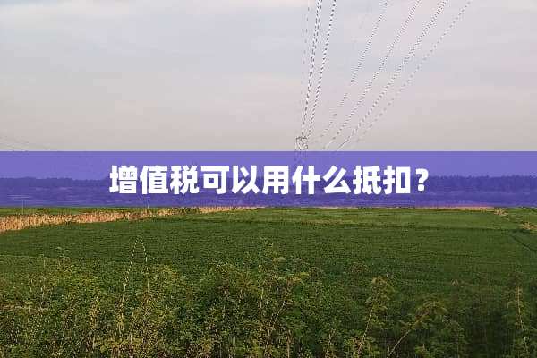 ***可以用什么抵扣？