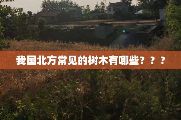 我国北方常见的树木有哪些？？？