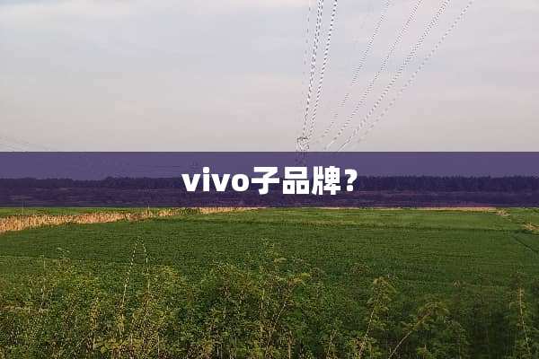 vivo子品牌？