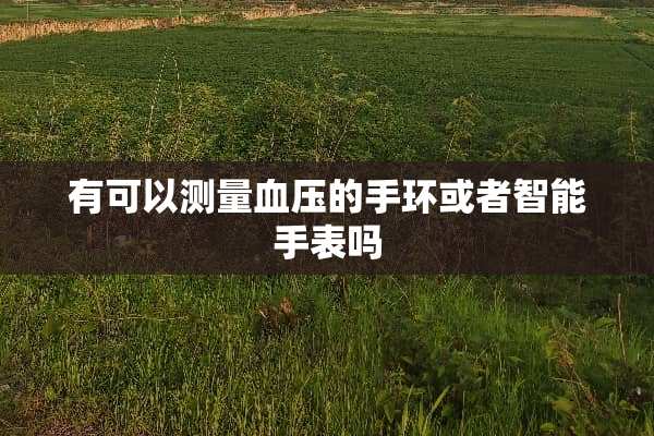 有可以测量血压的手环或者智能手表吗