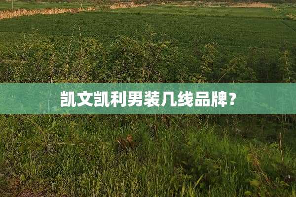 凯文凯利男装几线品牌？