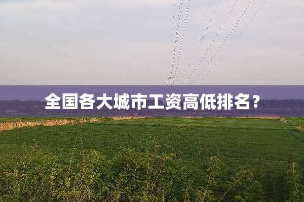 全国各大城市工资高低排名？